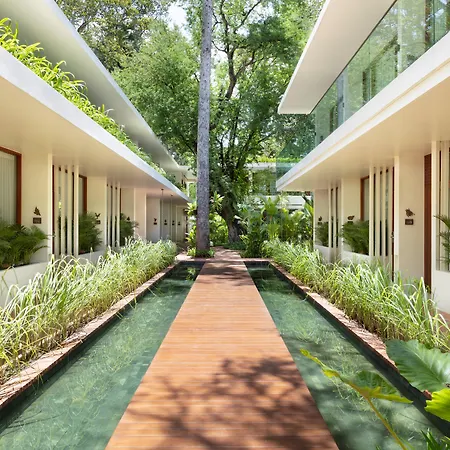 Fcc Angkor By Avani-3